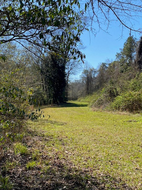 3492 Patterson Road Liberty, MS 39645 - Photo 14 of 32 Photo 14