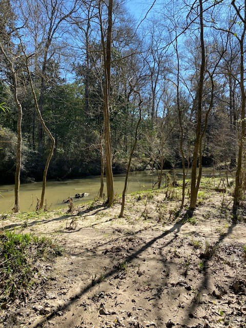 3492 Patterson Road Liberty, MS 39645 - Photo 15 of 32 Photo 15