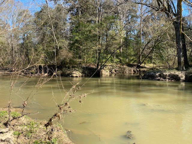 3492 Patterson Road Liberty, MS 39645 - Photo 17 of 32 Photo 17