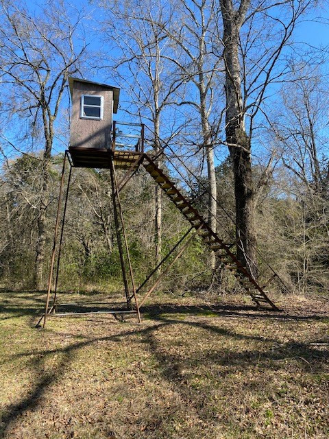 3492 Patterson Road Liberty, MS 39645 - Photo 20 of 32 Photo 20