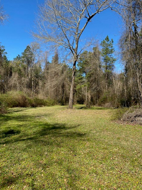 3492 Patterson Road Liberty, MS 39645 - Photo 21 of 32 Photo 21