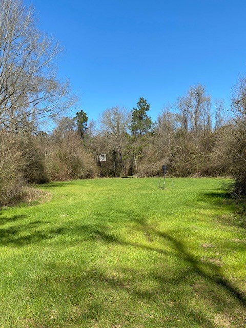 3492 Patterson Road Liberty, MS 39645 - Photo 22 of 32 Photo 22
