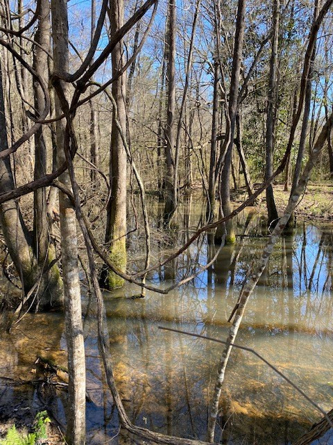 3492 Patterson Road Liberty, MS 39645 - Photo 23 of 32 Photo 23