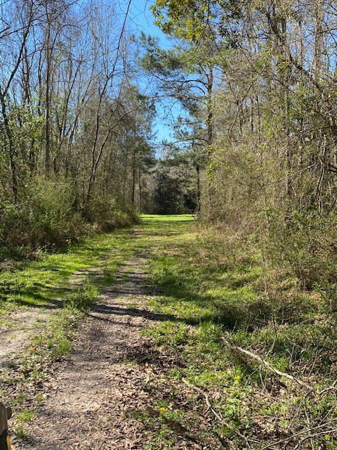 3492 Patterson Road Liberty, MS 39645 - Photo 25 of 32 Photo 25