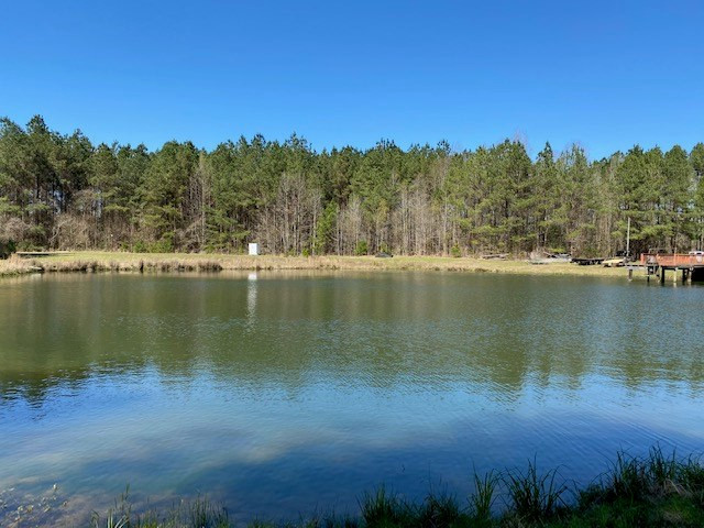 3492 Patterson Road Liberty, MS 39645 - Photo 29 of 32 Photo 29