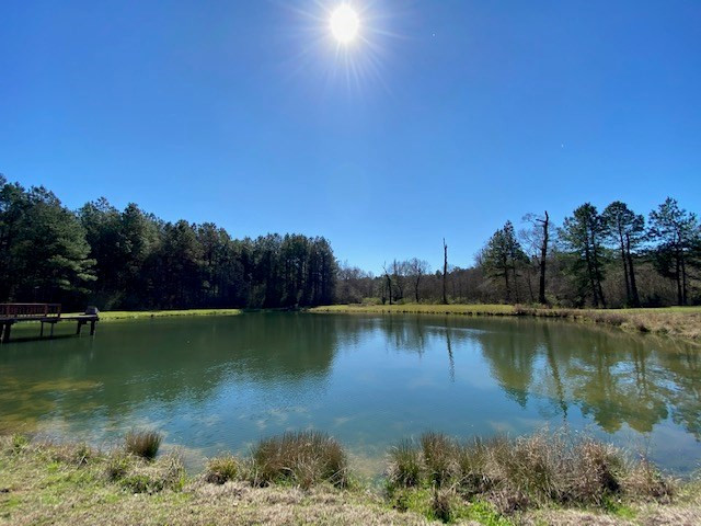 3492 Patterson Road Liberty, MS 39645 - Photo 30 of 32 Photo 30