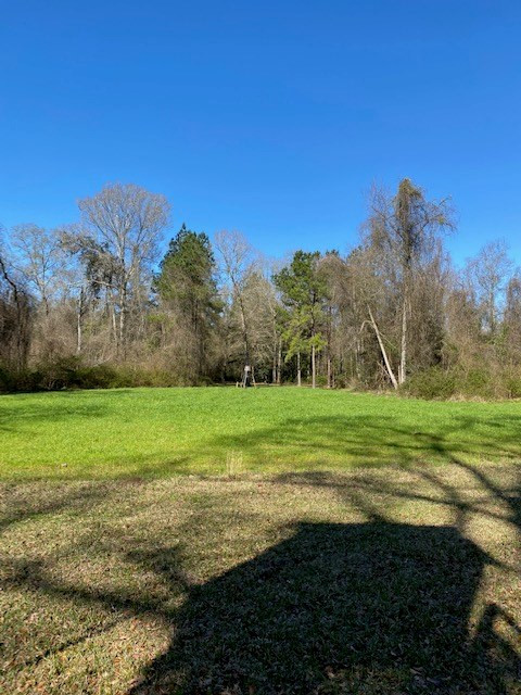 3492 Patterson Road Liberty, MS 39645 - Photo 3 of 32 Photo 3