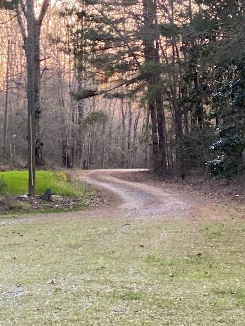 3492 Patterson Road Liberty, MS 39645 - Photo 4 of 32 Photo 4