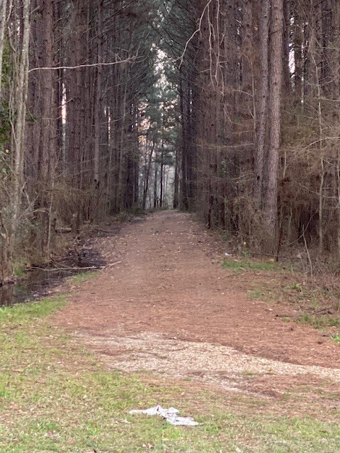 3492 Patterson Road Liberty, MS 39645 - Photo 5 of 32 Photo 5
