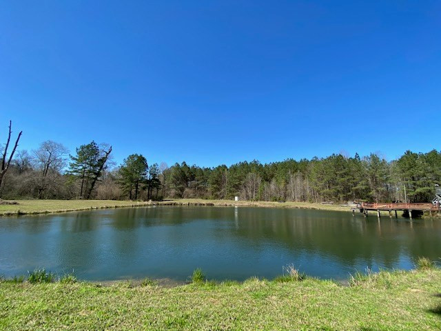 3492 Patterson Road Liberty, MS 39645 - Photo 7 of 32 Photo 7