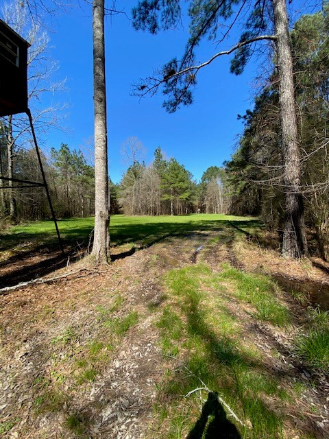 3492 Patterson Road Liberty, MS 39645 - Photo 10 of 32 Photo 10