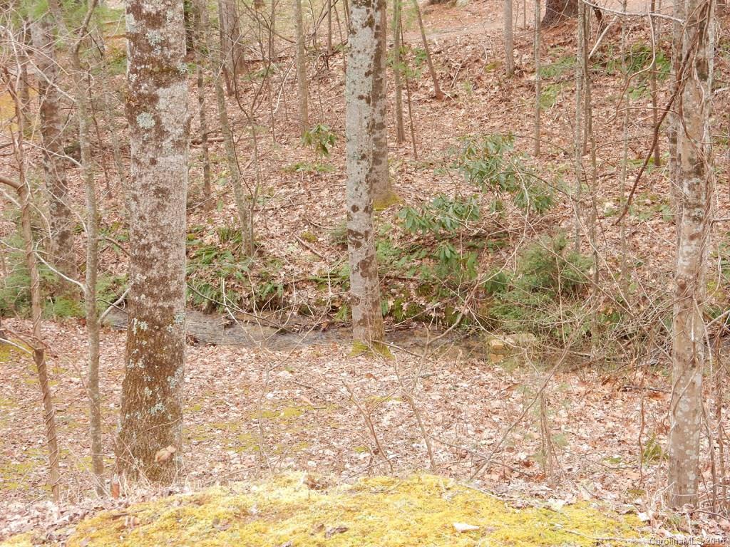 152 Chestnut Creek Road Candler, NC 28715 - Photo 12 of 17 Gallery Image 12