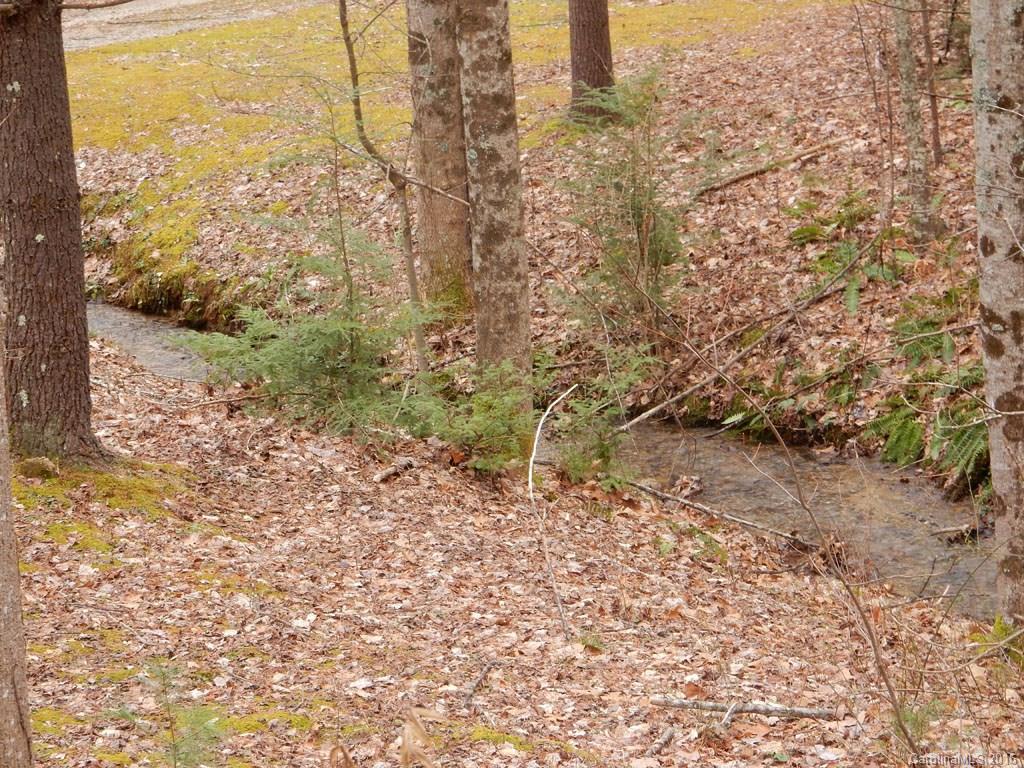 152 Chestnut Creek Road Candler, NC 28715 - Photo 14 of 17 Gallery Image 14