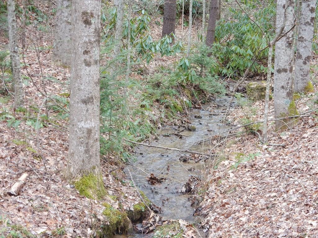 152 Chestnut Creek Road Candler, NC 28715 - Photo 15 of 17 Gallery Image 15