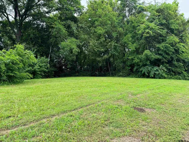 a view of backyard with green space
