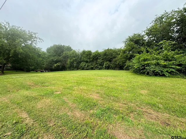 a view of a green field with clear sky
