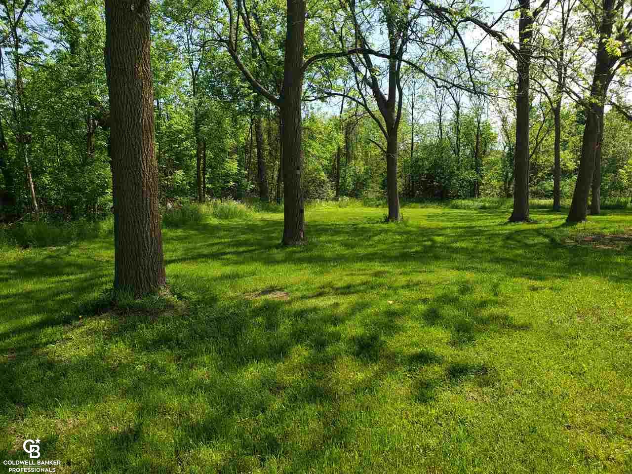 11504 Wilkes Road Yale, MI 48097 - Photo 20 of 22 This is a view of the backyard.