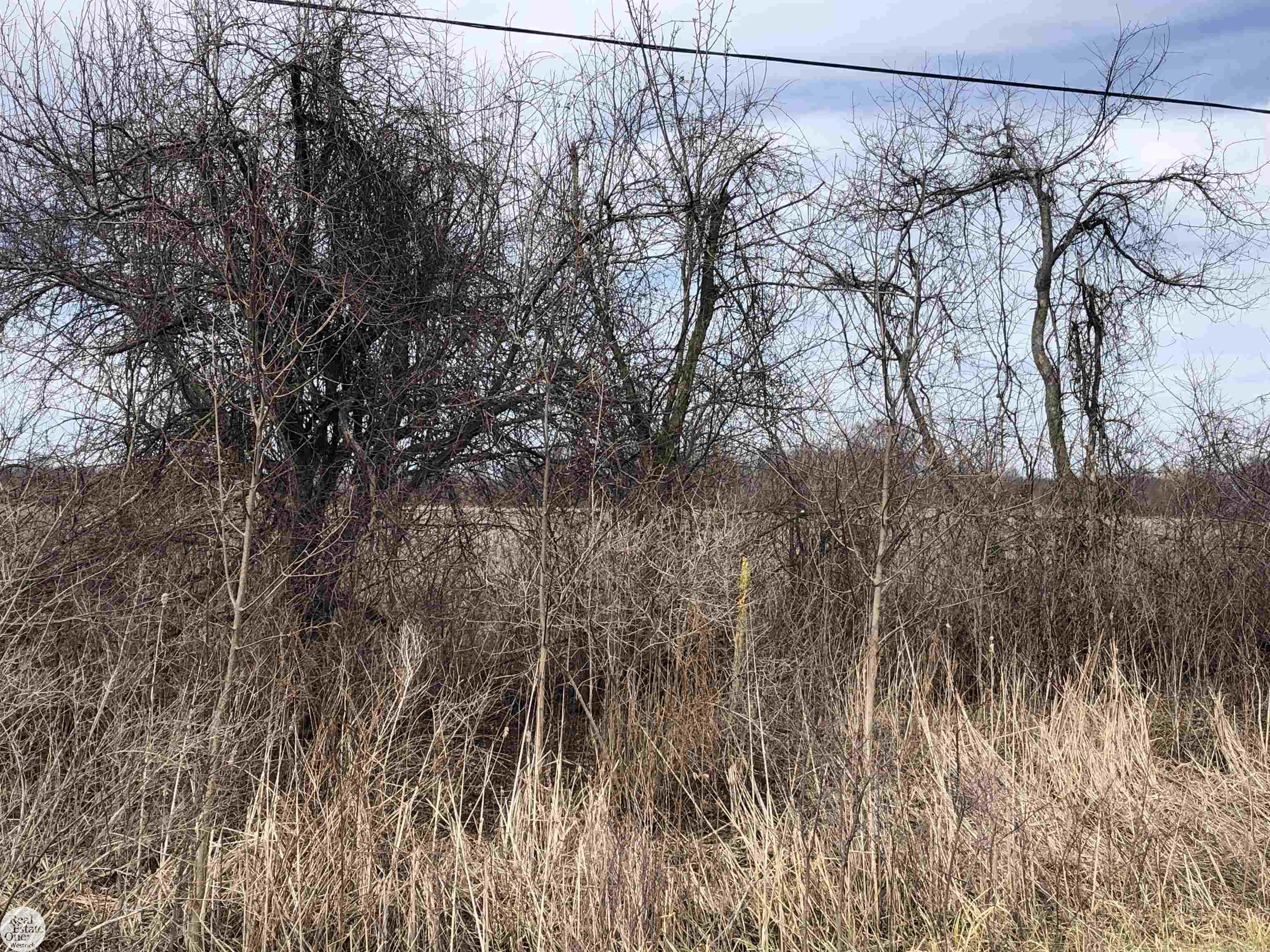 0 Short Cut Road Marine City, MI 48039 - Photo 3 of 4