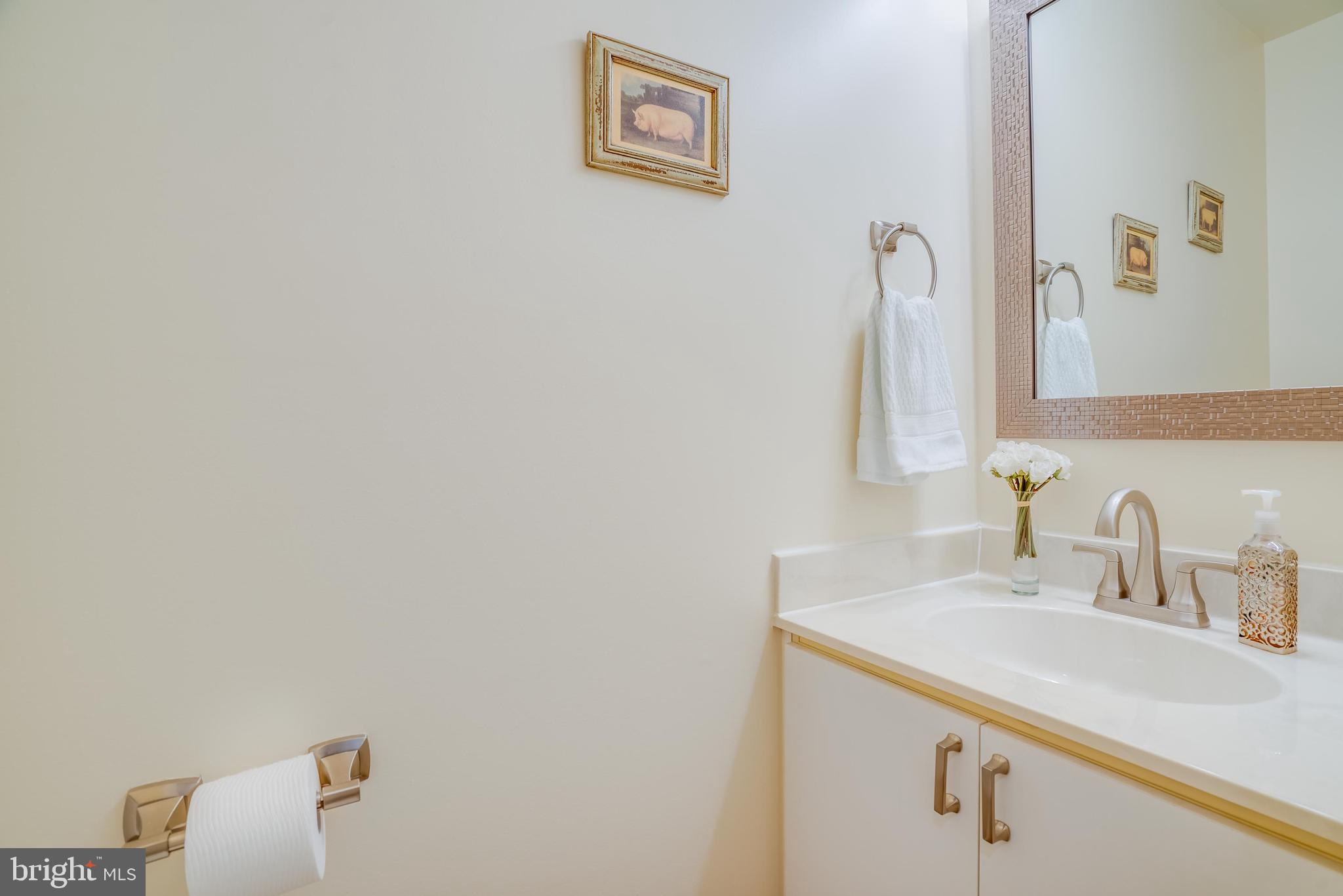 7205 Evans Mill Road McLean, VA 22101 - Photo 3 of 35 Bathroom main level