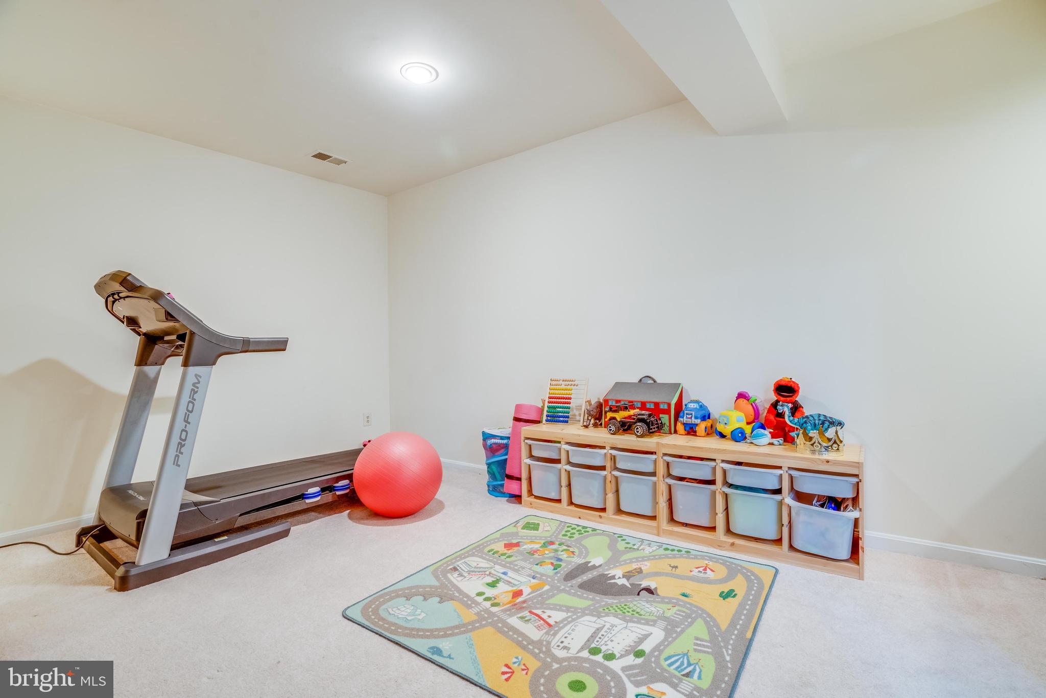 7205 Evans Mill Road McLean, VA 22101 - Photo 25 of 35 Basement Play Room