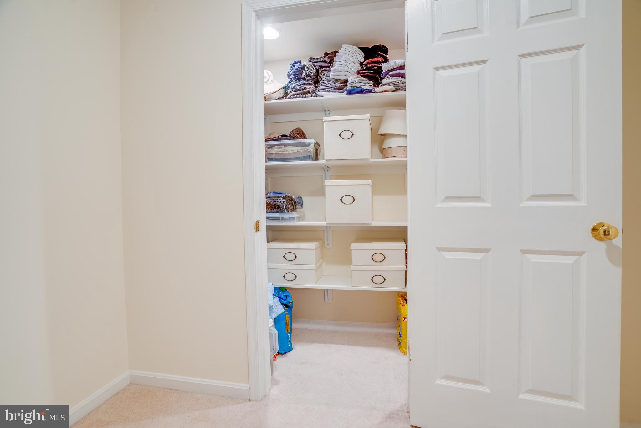 7205 Evans Mill Road McLean, VA 22101 - Photo 26 of 35 Basement Closet