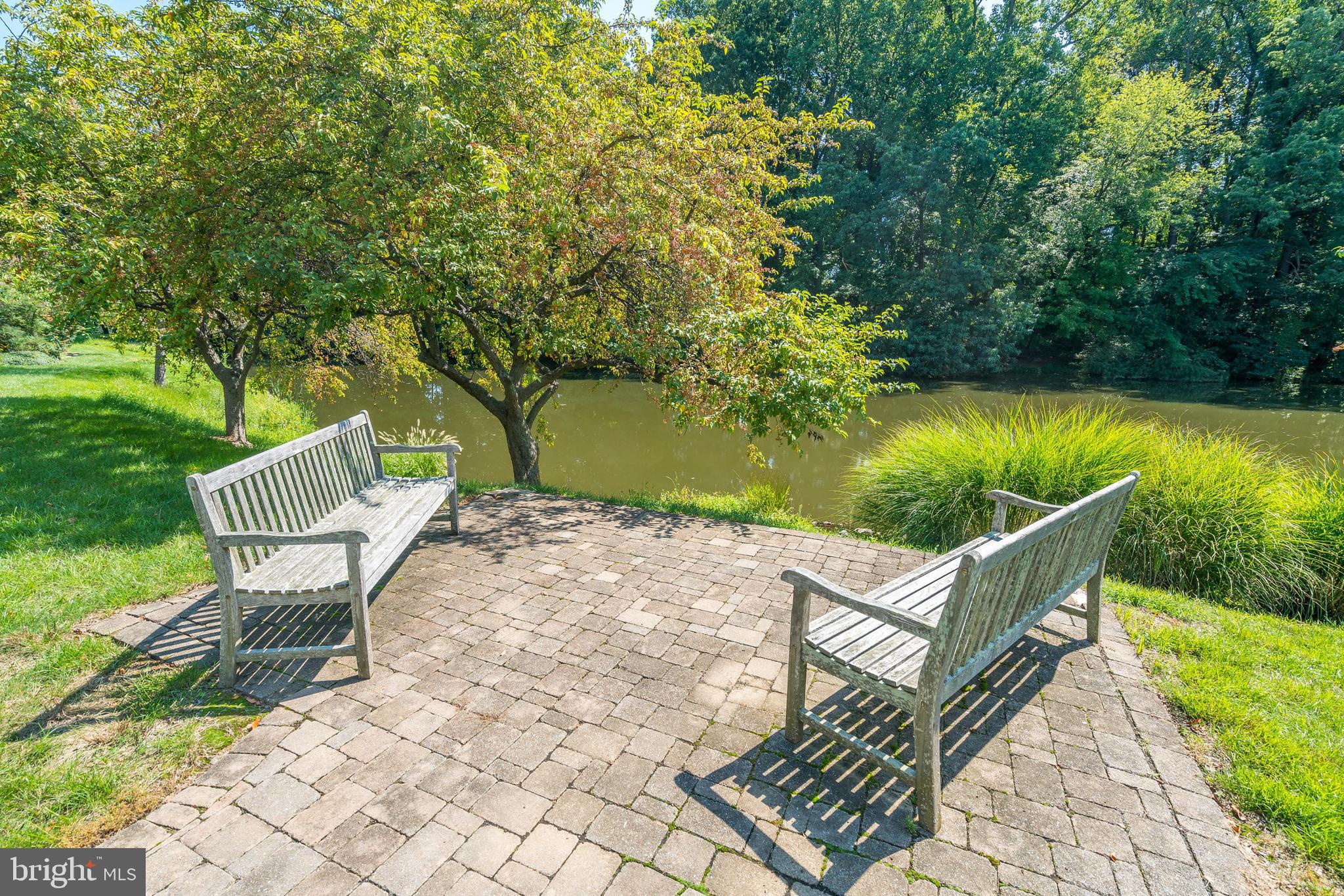 7205 Evans Mill Road McLean, VA 22101 - Photo 33 of 35 Pond