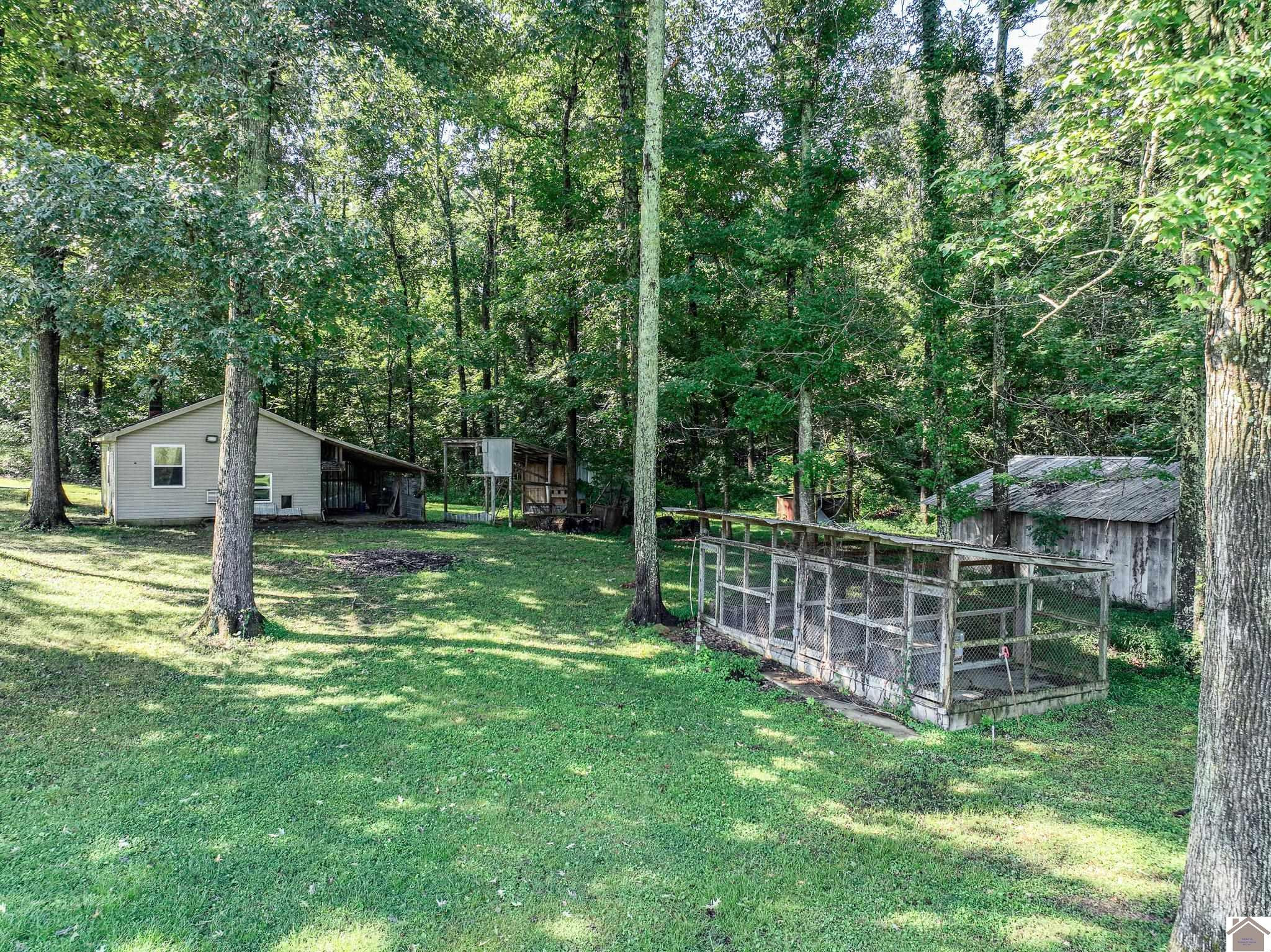 2733 Oak Level Elva Road Symsonia, KY 42082 - Photo 7 of 30 Backyard