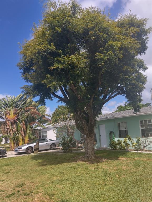 1517 Northeast 30th Street Pompano Beach, FL 33064 - Photo 1 of 4 a view of a house with a yard