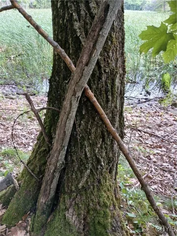 $349,500 | 43206 Murray, Clayton, NY 13624