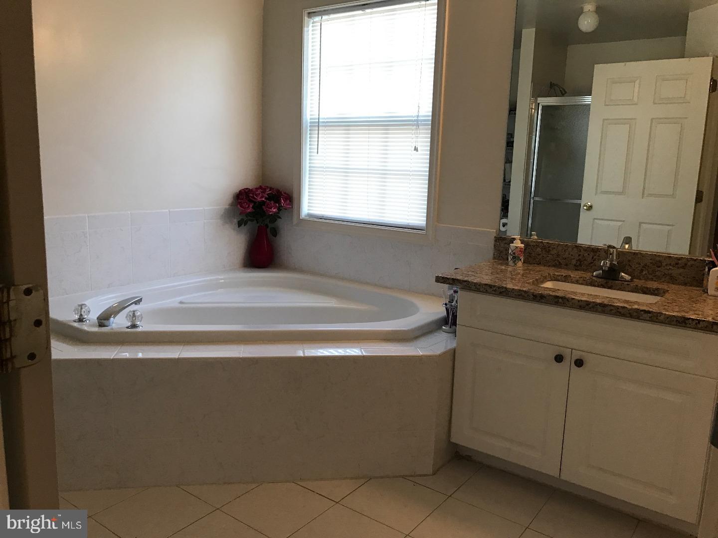 69 Tennyson Road Hightstown, NJ 08520 - Photo 7 of 15 Master Bathroom