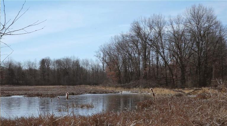 21231 Kaiser Road Gregory, MI 48137 - Photo 18 of 19 Photo 18