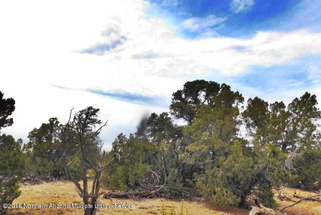 7061 Red Butte Road Valle, AZ 86046 - Photo 12 of 16 DSCN0895