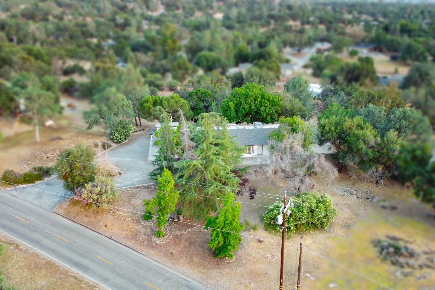 42906 Ranger Cir Drive Coarsegold, CA 93614 - Photo 27 of 29 an outdoor view of garden