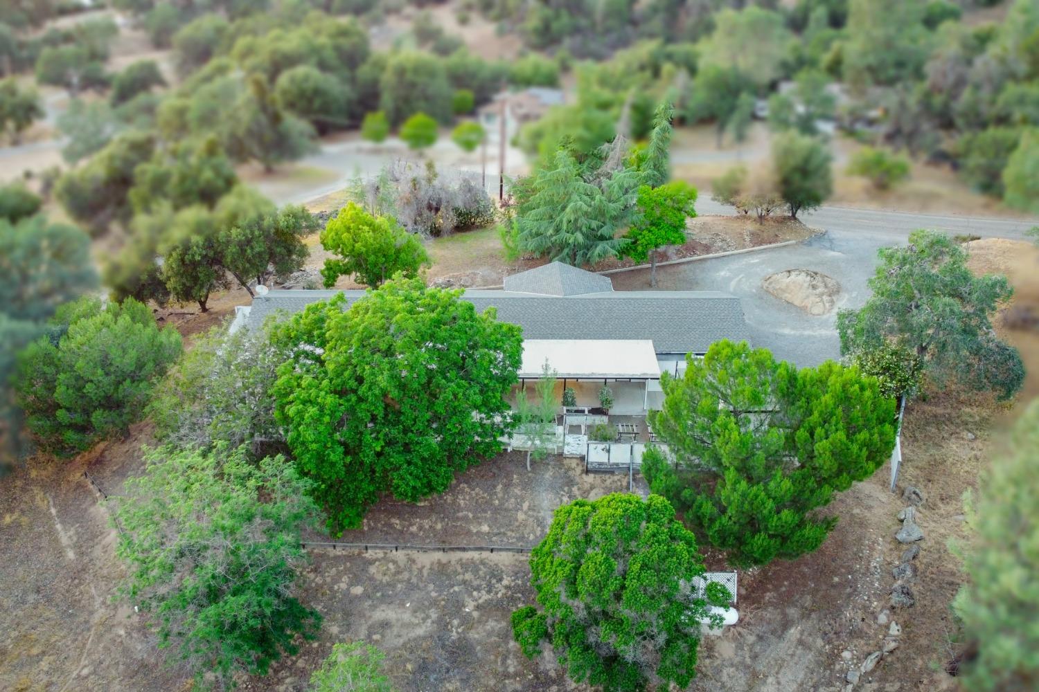 42906 Ranger Cir Drive Coarsegold, CA 93614 - Photo 28 of 29 a view of a garden with pathway
