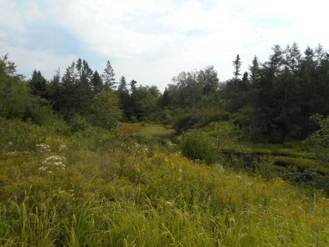 202 Indian River Road Addison, ME 04606 - Photo 8 of 13 Photo