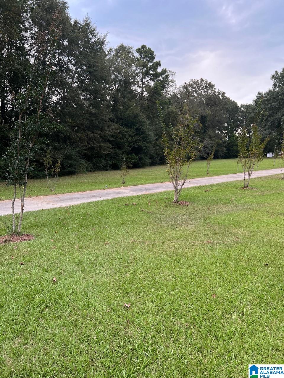 33303 Highway 22 Verbena, AL 36091 - Photo 6 of 23