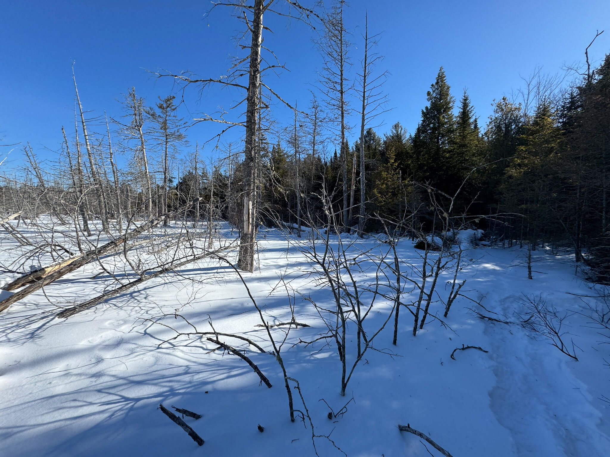 M5-l26 Clark Road Burlington, ME 04417 - Photo 15 of 26 IMG_1123