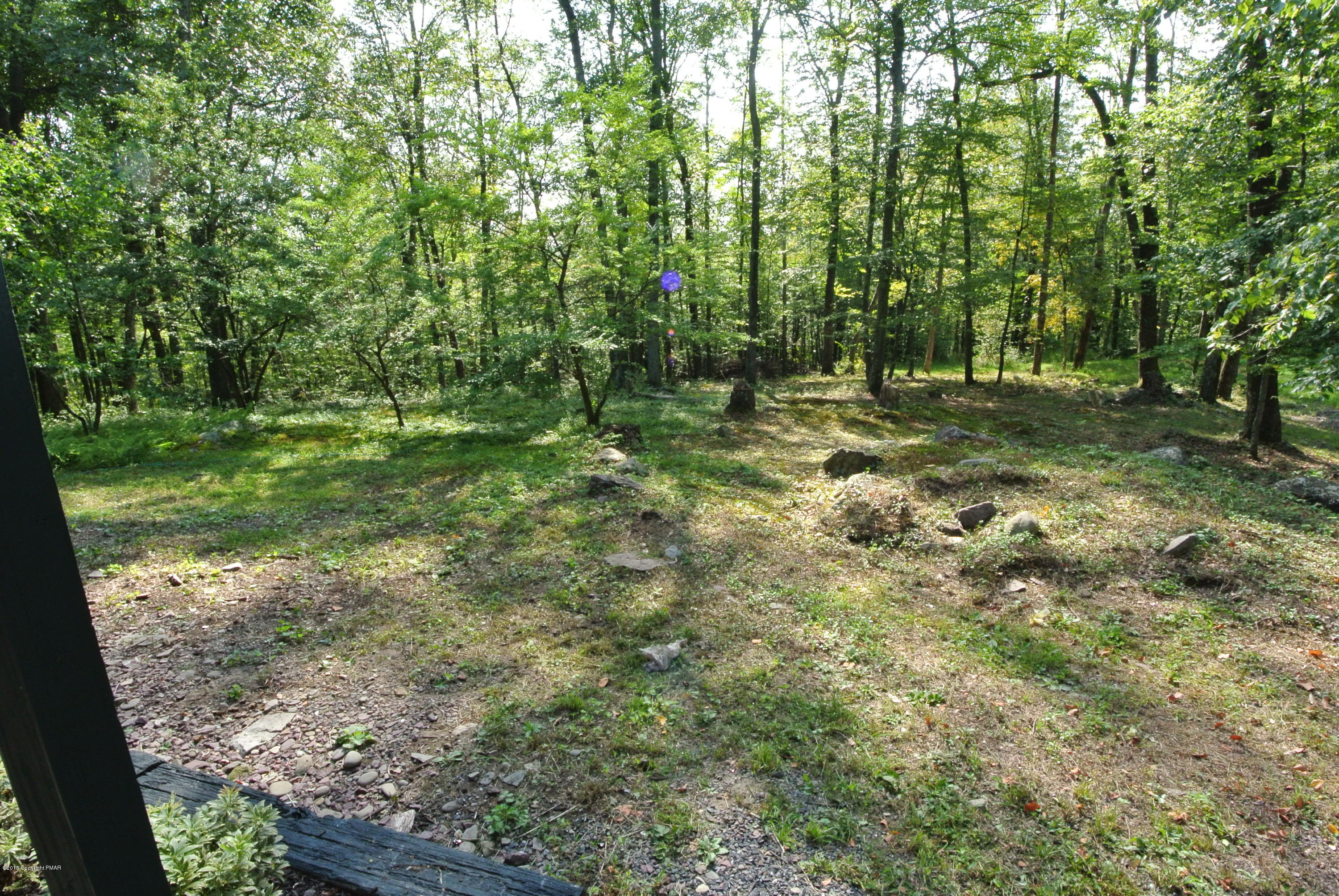 290 Clarks Road Cresco, PA 18326 - Photo 12 of 46 Back yard