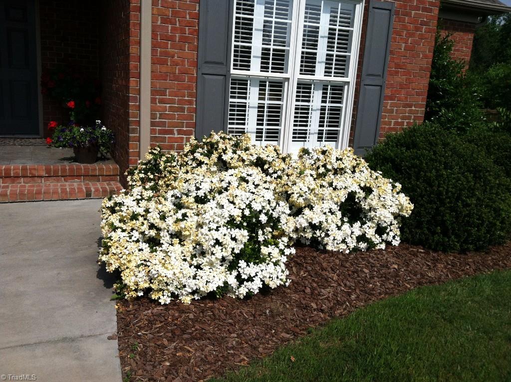 5803 Elkton Drive Oak Ridge, NC 27310 - Photo 19 of 23
