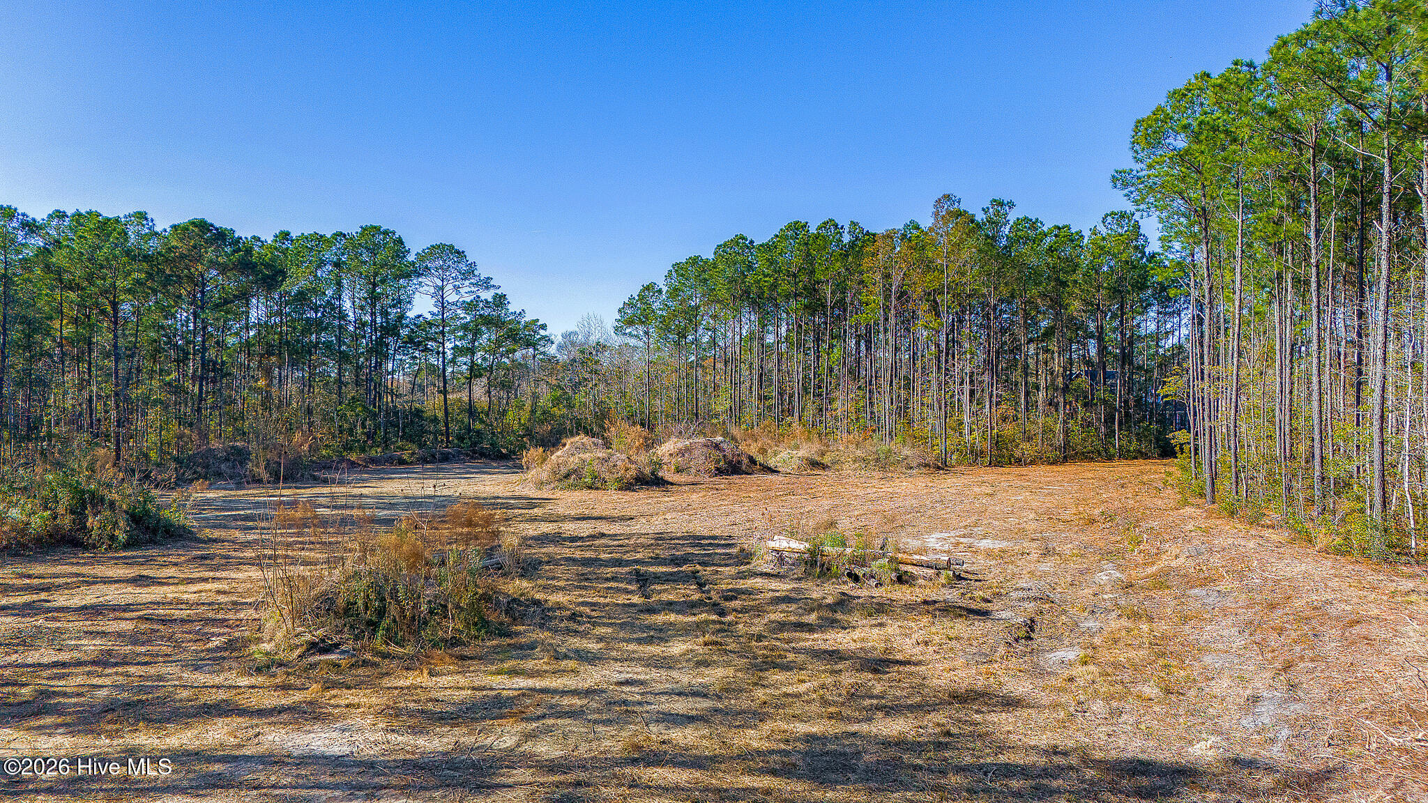 1555 Country Club Road Morehead City, NC 28557 - Photo 11 of 24 Partially Cleared Lot