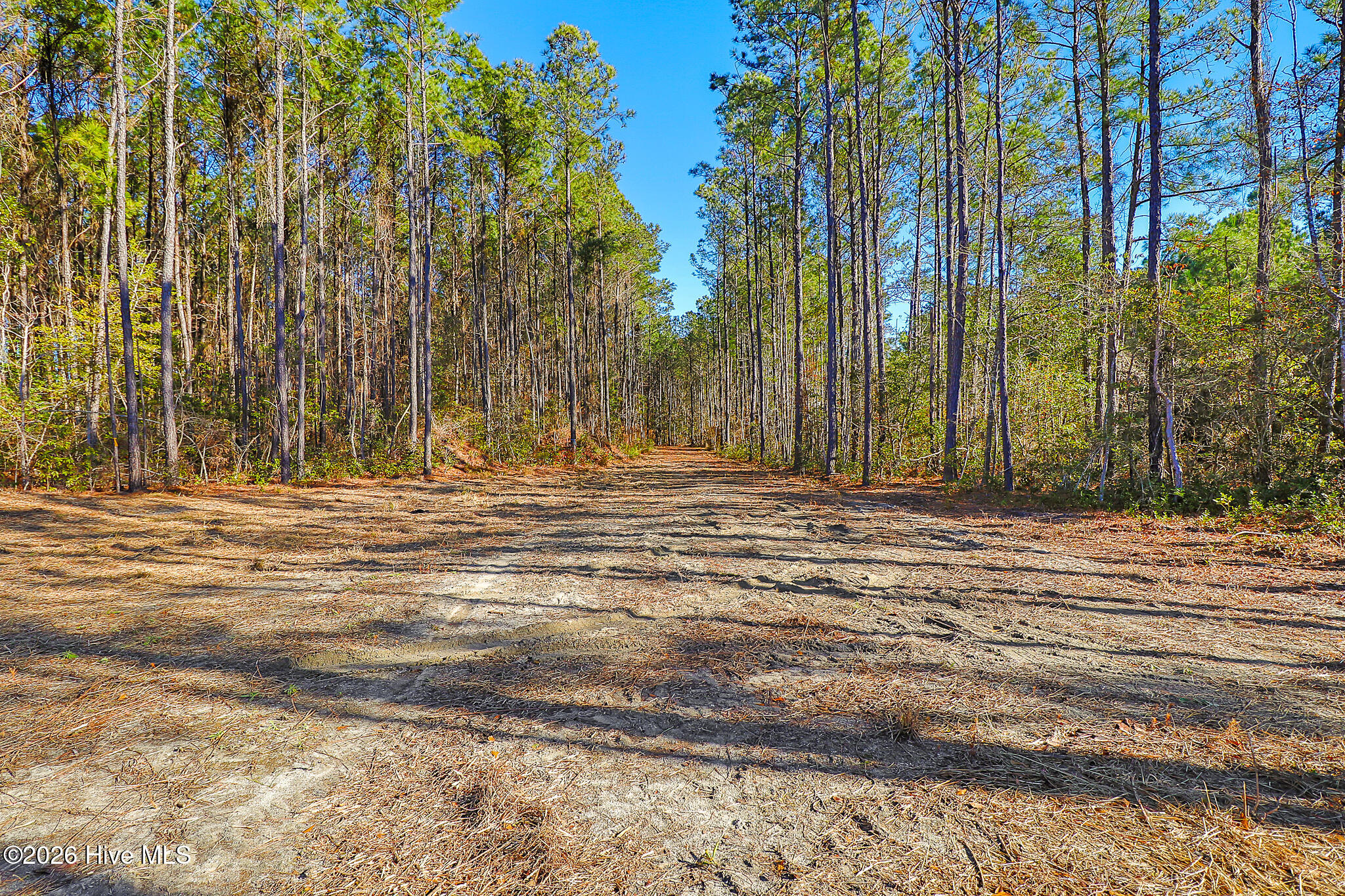 1555 Country Club Road Morehead City, NC 28557 - Photo 12 of 24 Partially Cleared Lot