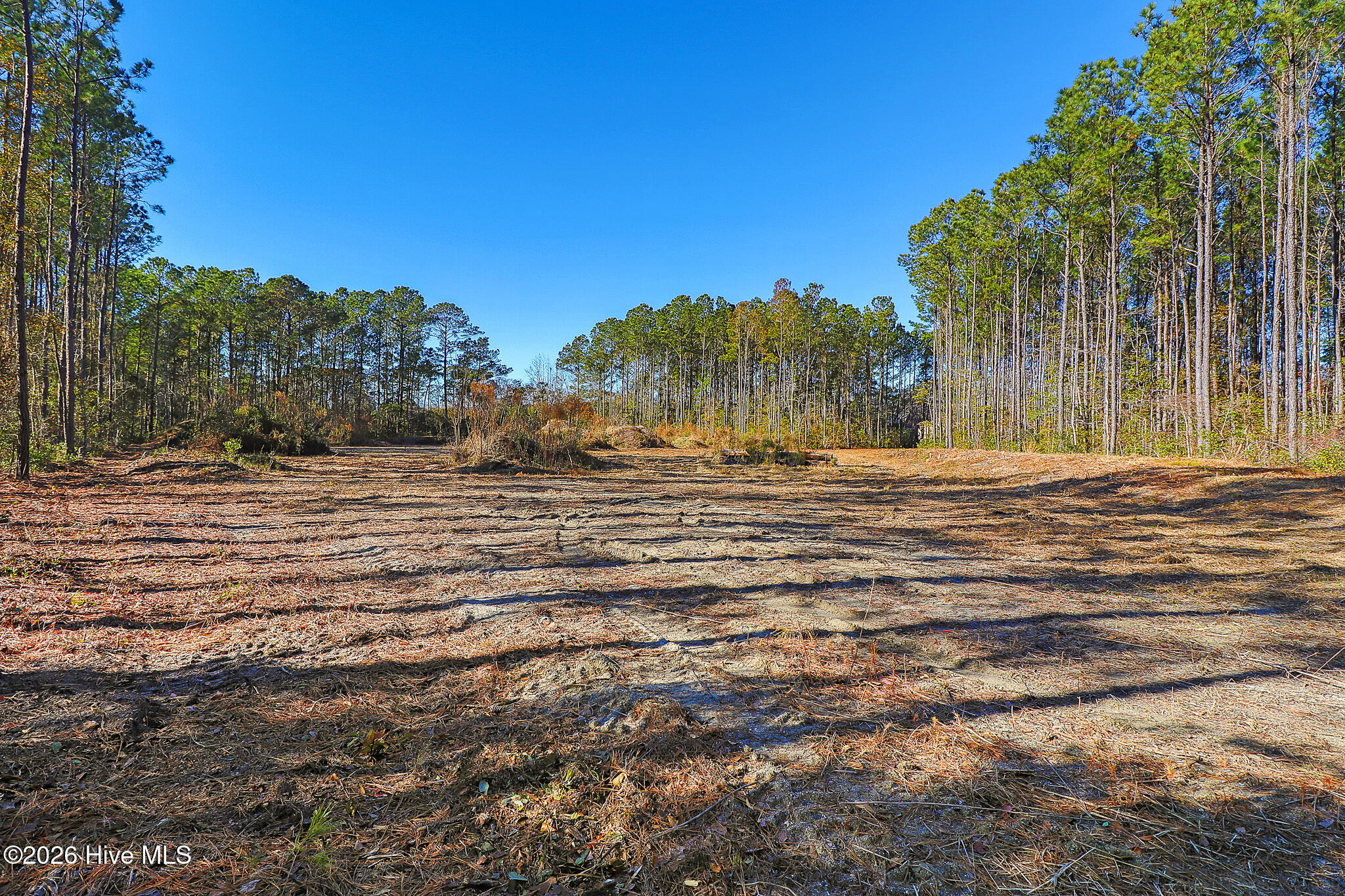 1555 Country Club Road Morehead City, NC 28557 - Photo 13 of 24 Partially Cleared Lot