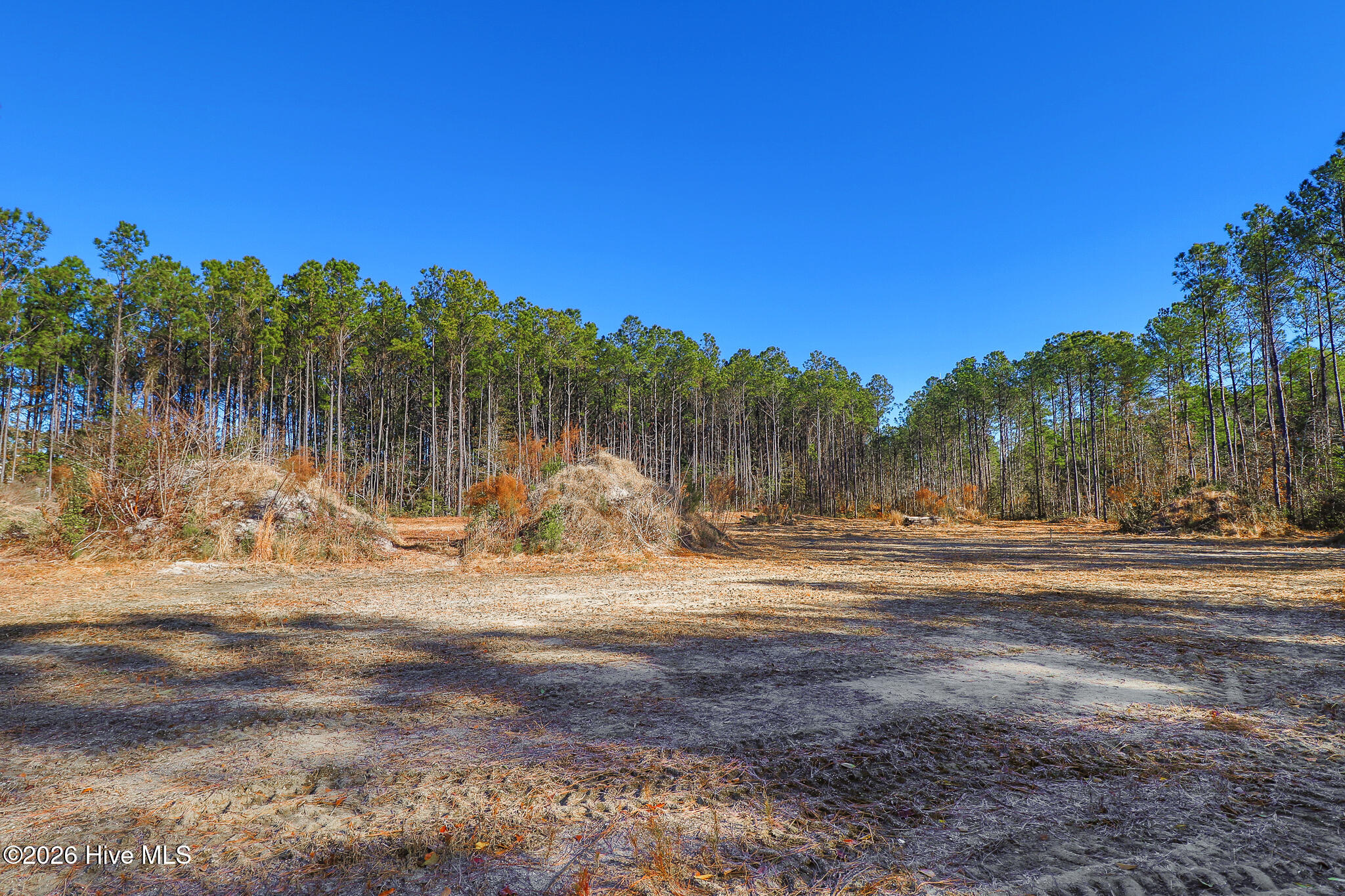 1555 Country Club Road Morehead City, NC 28557 - Photo 14 of 24 Partially Cleared Lot
