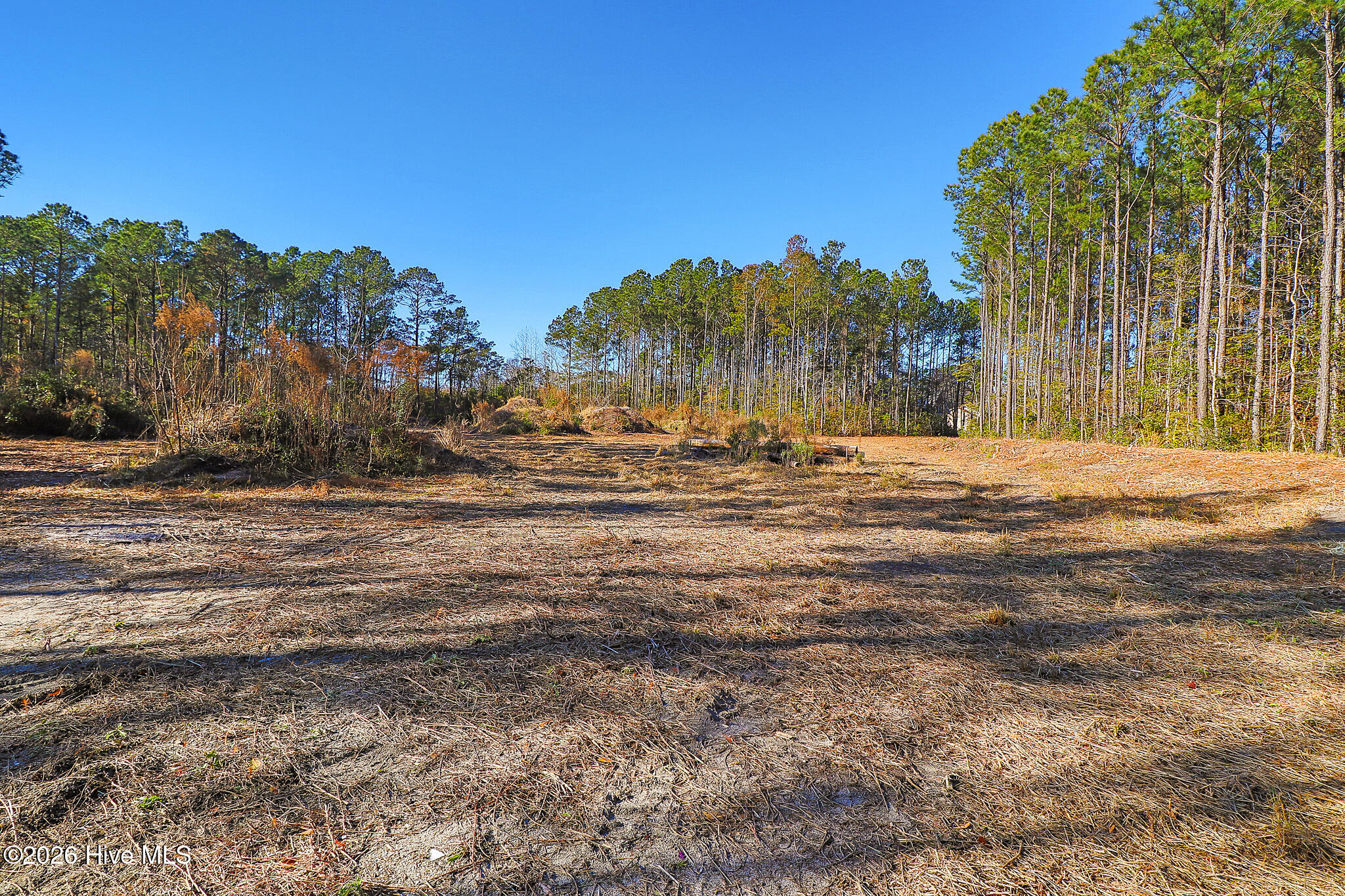 1555 Country Club Road Morehead City, NC 28557 - Photo 15 of 24 Partially Cleared Lot