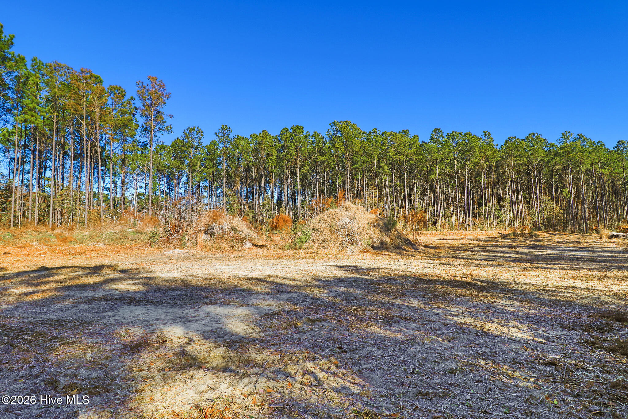 1555 Country Club Road Morehead City, NC 28557 - Photo 16 of 24 Partially Cleared Lot