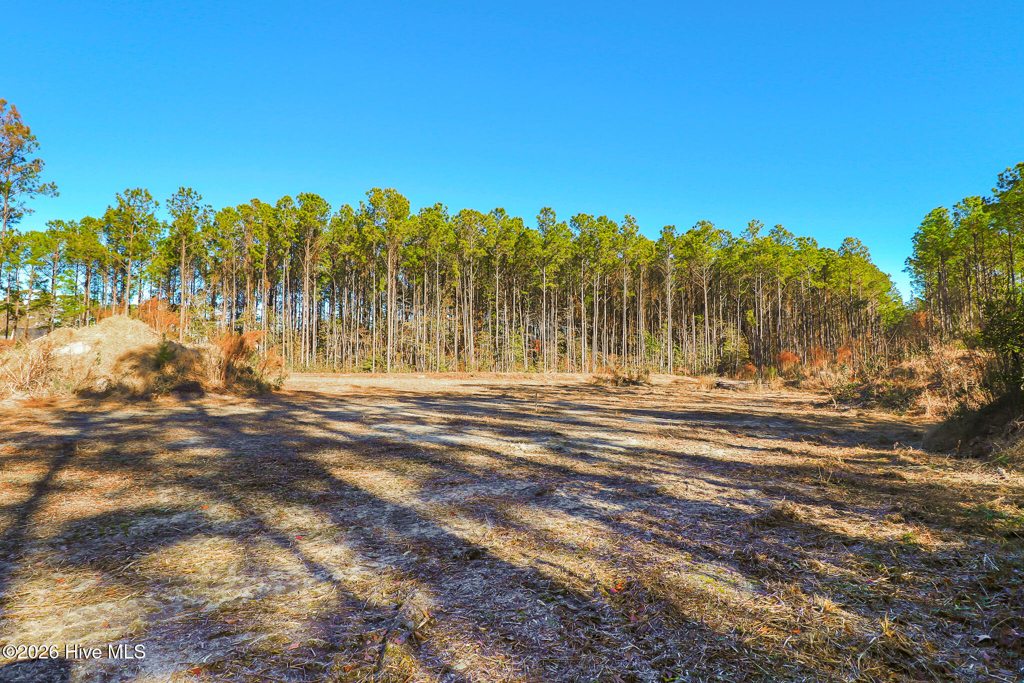 1555 Country Club Road Morehead City, NC 28557 - Photo 17 of 24 Partially Cleared Lot