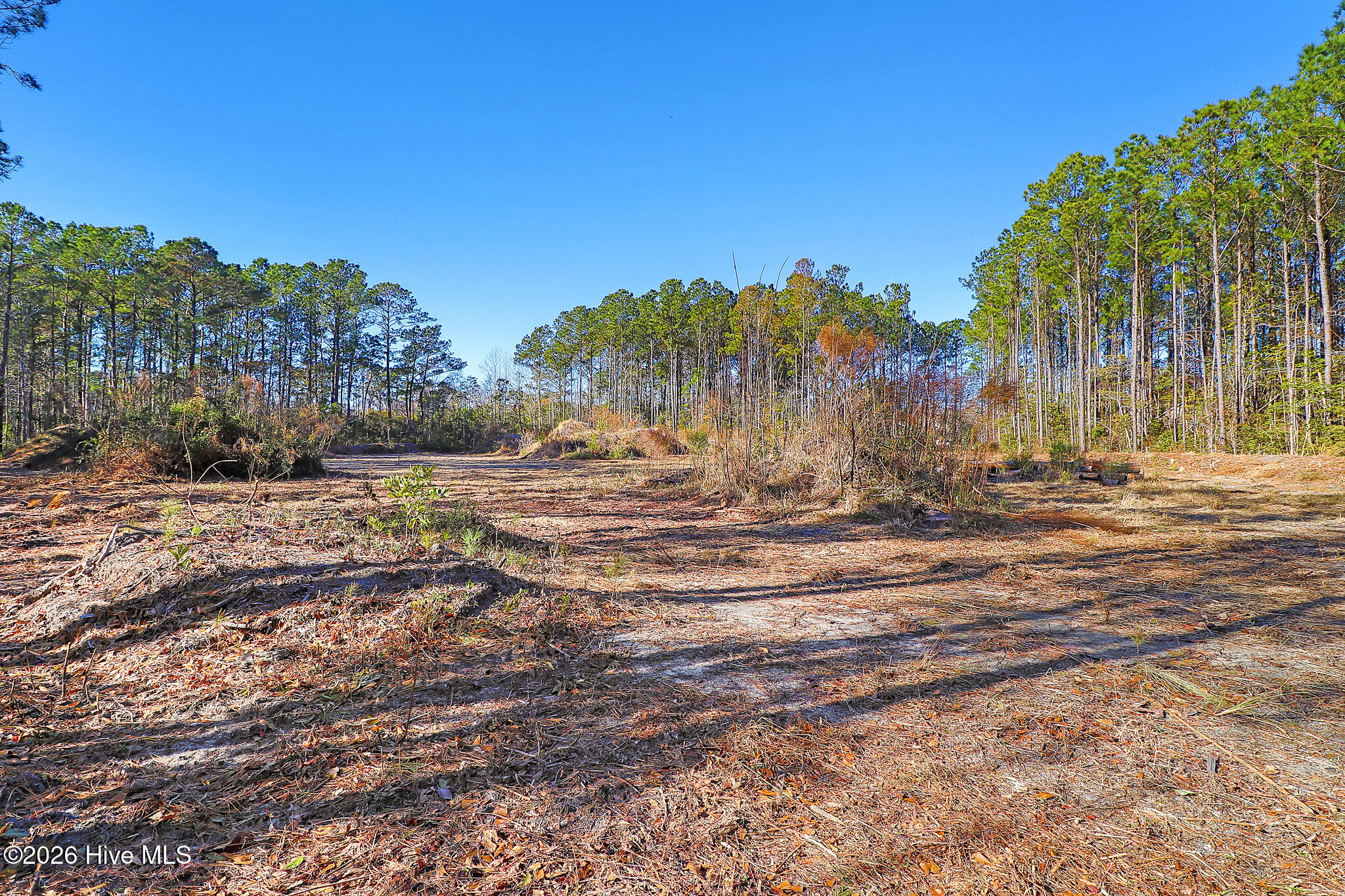 1555 Country Club Road Morehead City, NC 28557 - Photo 18 of 24 Partially Cleared Lot