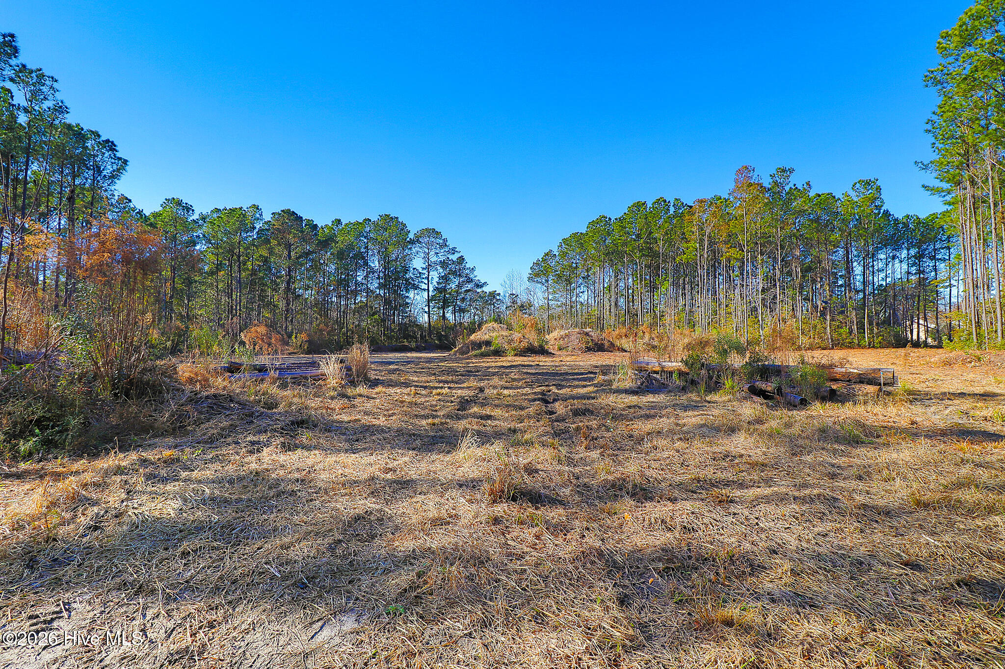1555 Country Club Road Morehead City, NC 28557 - Photo 19 of 24 Partially Cleared Lot