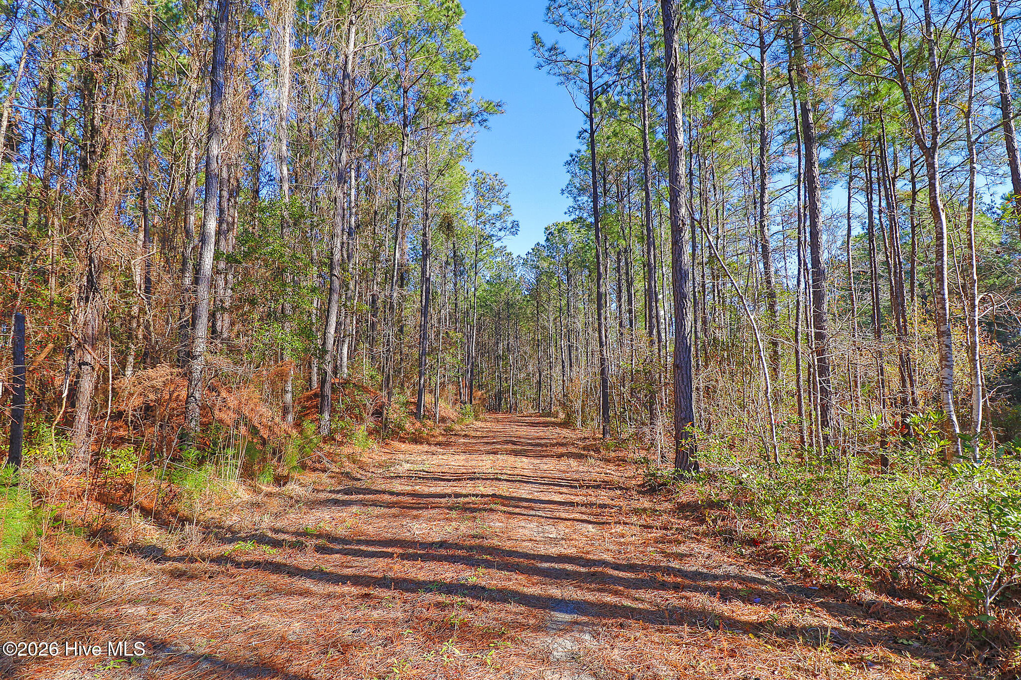 1555 Country Club Road Morehead City, NC 28557 - Photo 20 of 24 Partially Cleared Lot