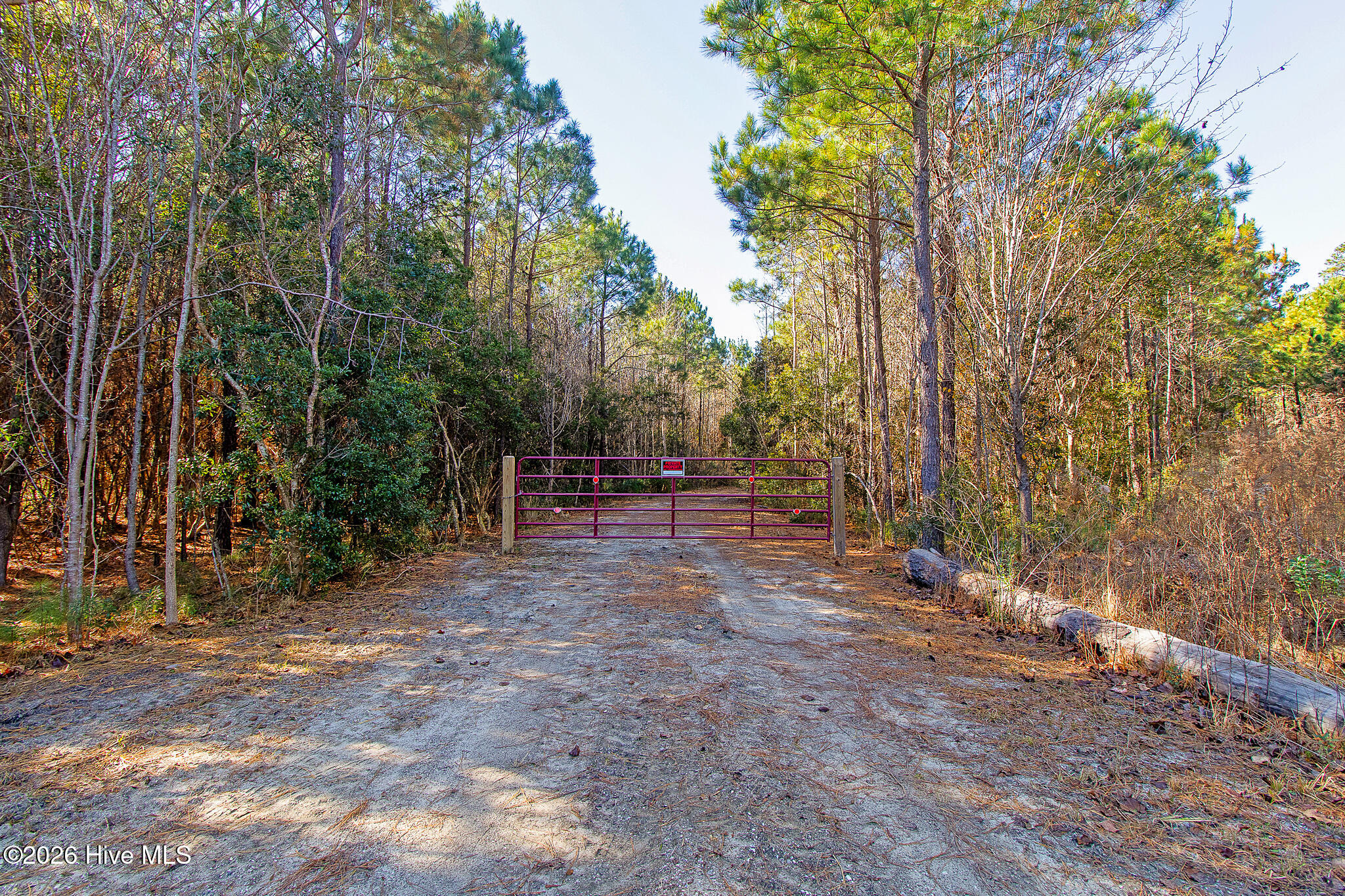 1555 Country Club Road Morehead City, NC 28557 - Photo 9 of 24 Partially Cleared Lot